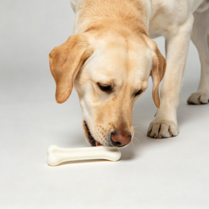 Natural Rubber Durable Dog Chew Molar Stick
