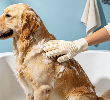 Silicone Pet Bath Glove Brush